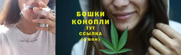 PSILOCYBIN Алзамай