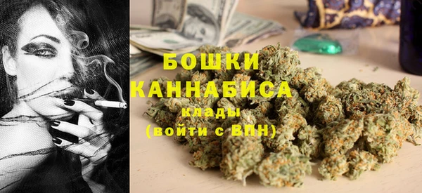 PSILOCYBIN Алзамай