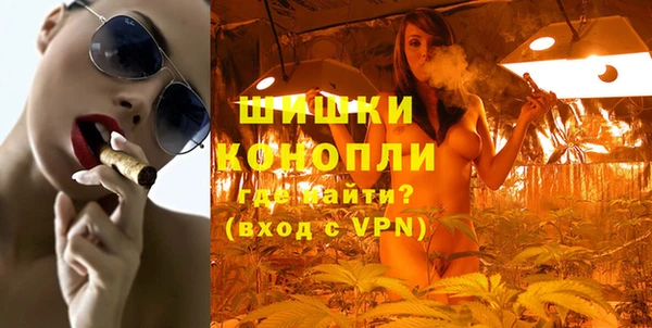 PSILOCYBIN Алзамай