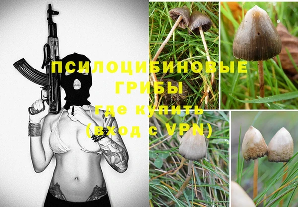 PSILOCYBIN Алзамай