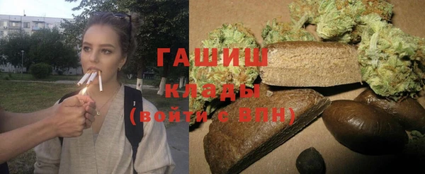 PSILOCYBIN Алзамай