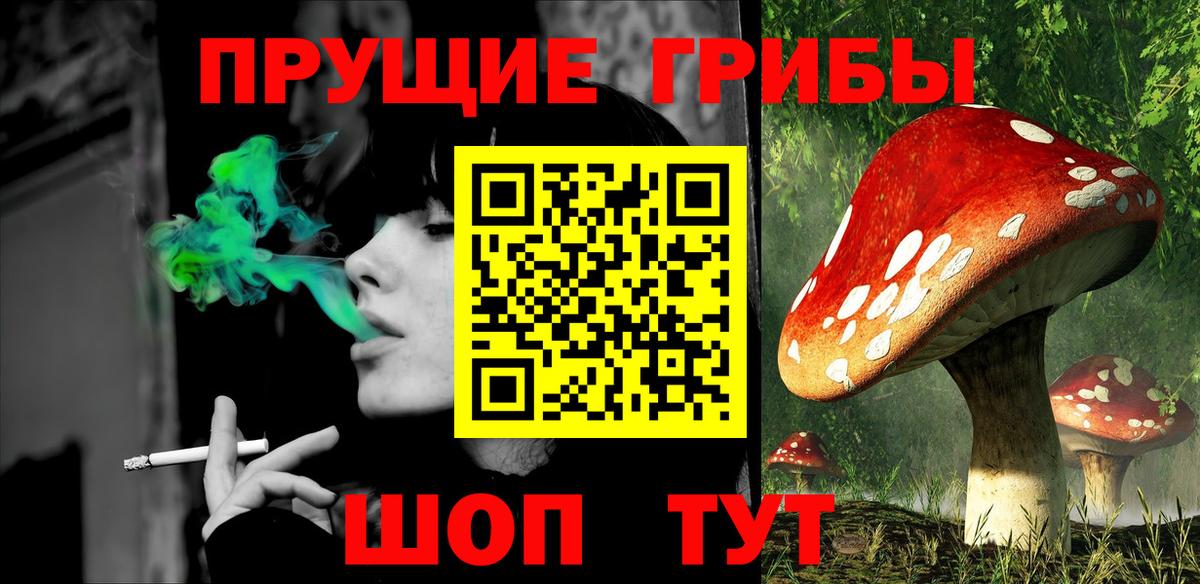Южно-Сахалинск  Галлюциногенные грибы Psilocybine cubensis  Вход с VPN 