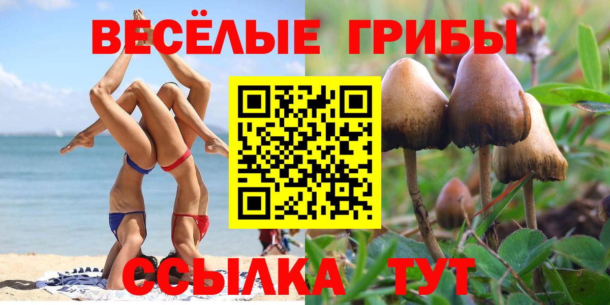 Галлюциногенные грибы Psilocybe Южно-Сахалинск